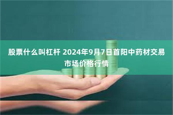 股票什么叫杠杆 2024年9月7日首阳中药材交易市场价格行情