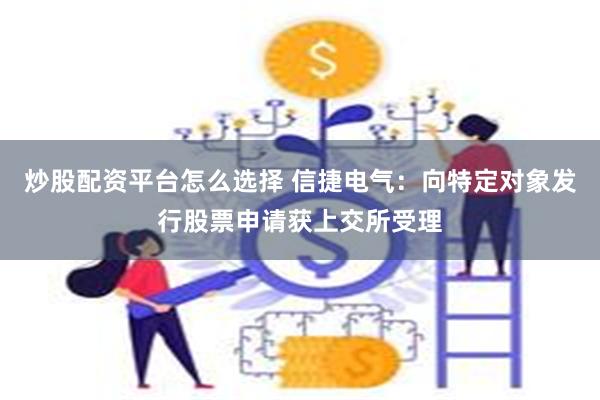 炒股配资平台怎么选择 信捷电气：向特定对象发行股票申请获上交所受理