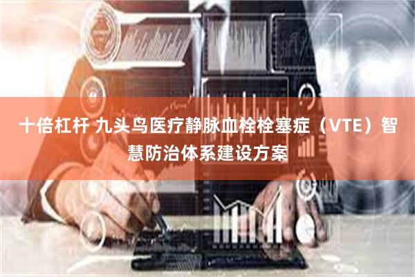 十倍杠杆 九头鸟医疗静脉血栓栓塞症（VTE）智慧防治体系建设方案