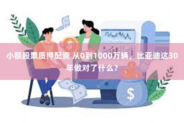 小额股票质押配资 从0到1000万辆，比亚迪这30年做对了什么？