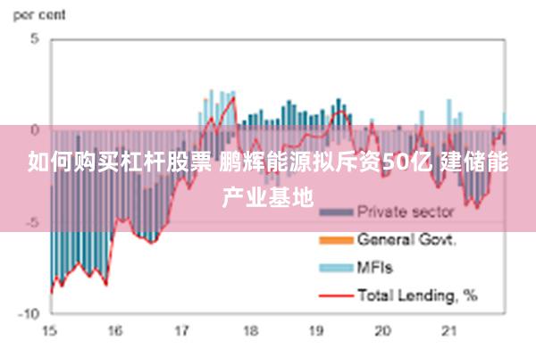 如何购买杠杆股票 鹏辉能源拟斥资50亿 建储能产业基地