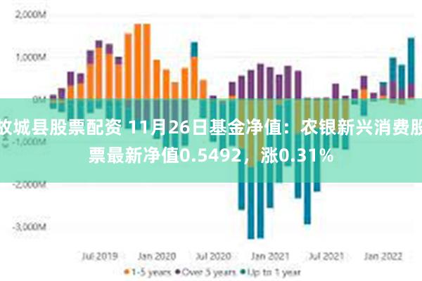 故城县股票配资 11月26日基金净值：农银新兴消费股票最新净值0.5492，涨0.31%