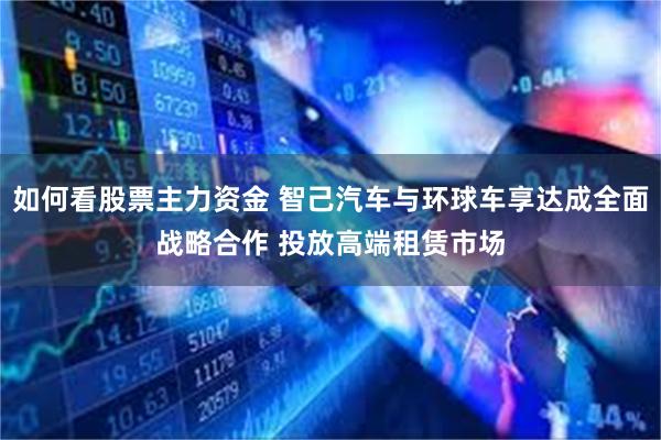 如何看股票主力资金 智己汽车与环球车享达成全面战略合作 投放高端租赁市场